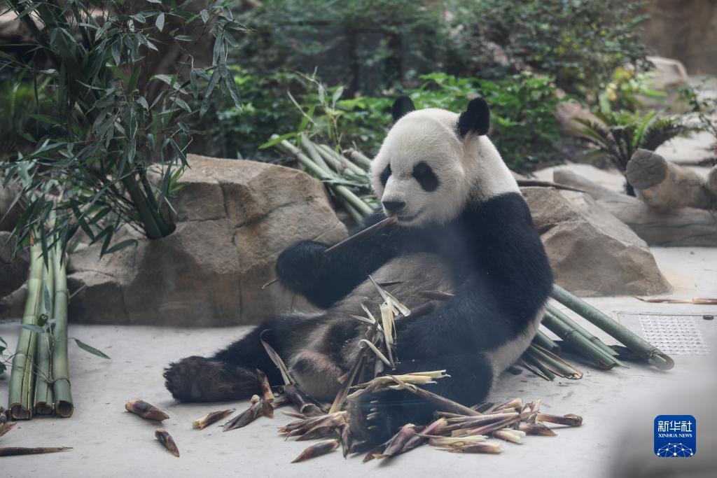 永利轮盘登录